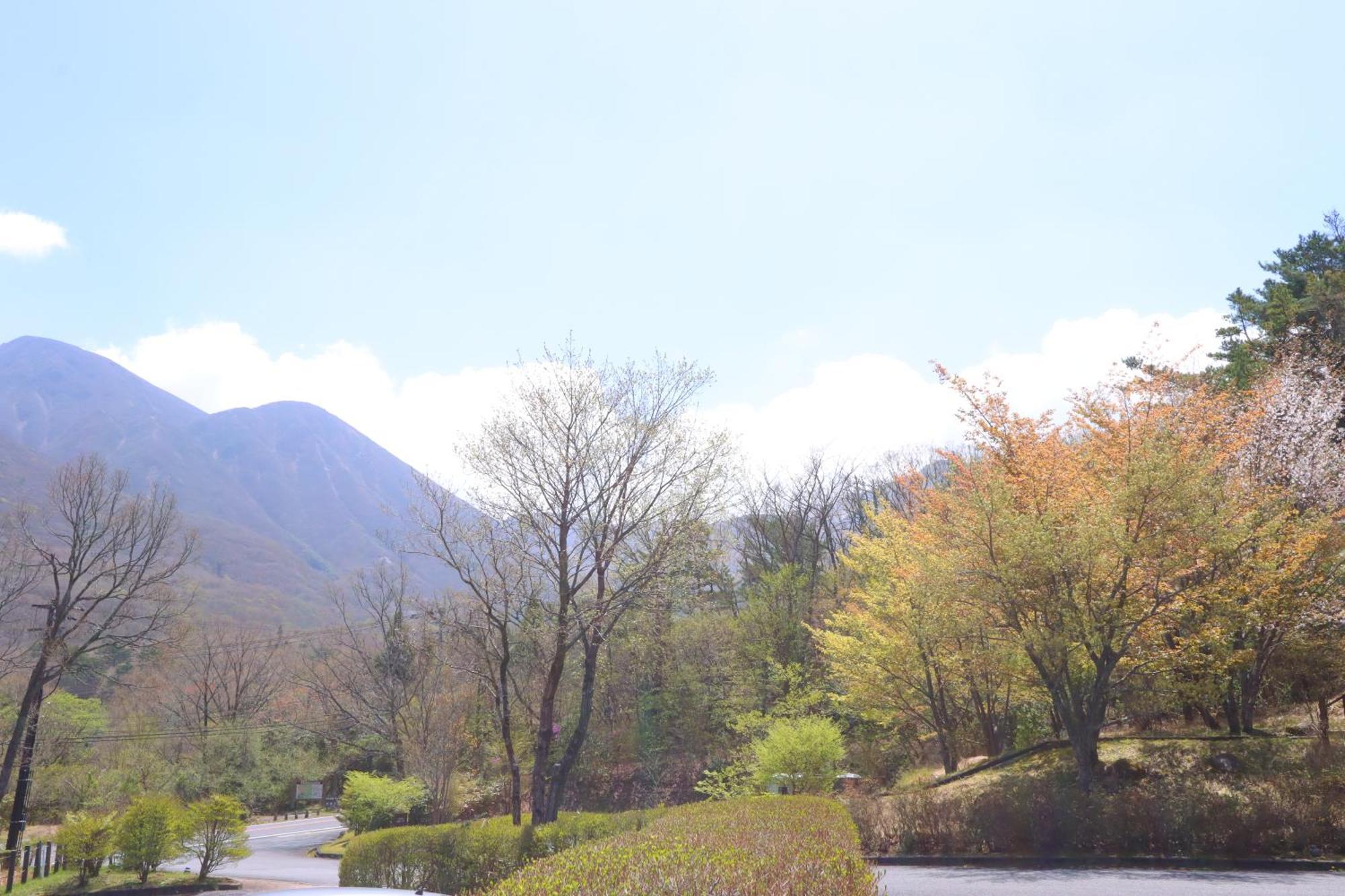 Отель Hokkein-Onsen Kougen-Terrace Коконоэ Экстерьер фото